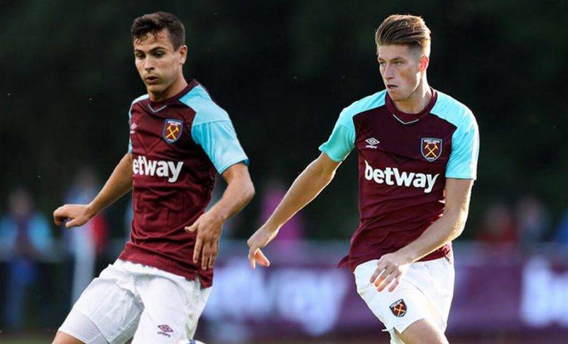 他的稳定和 他的稳定和